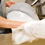 salt-is-added-to-the-curds-that-remain-in-the-vat-every-40-lb-block-of-cheese-requires-one-pound-of-salt-salt-does-more-than-simply-add-flavor-to-cheese-it-is-what-stops-the-chemical-process-of-increasing-acidity-and-ph-level-increase-it-is-very-difficult-to-create-a-low-sodium-cheese-in-the-traditional-artisan-cheese-making-fashion